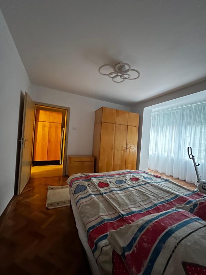 Noreea Central Apartment 蒂米什瓦拉 外观 照片