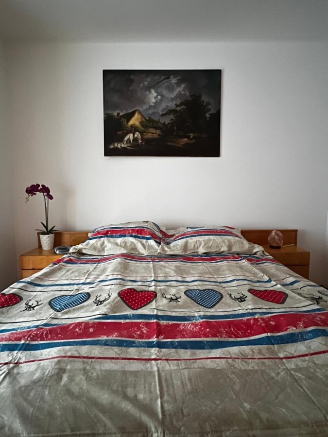 Noreea Central Apartment 蒂米什瓦拉 外观 照片