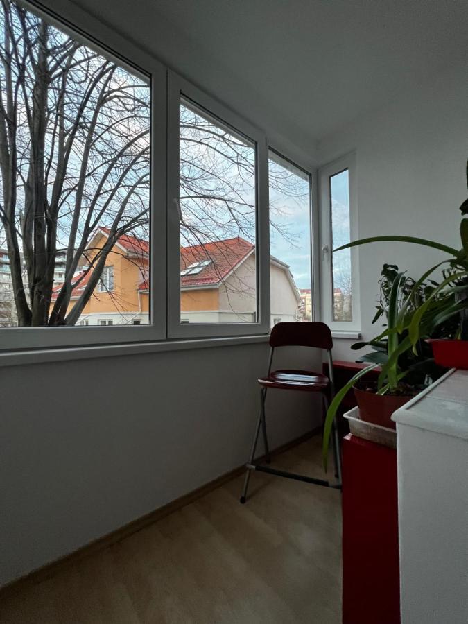 Noreea Central Apartment 蒂米什瓦拉 外观 照片