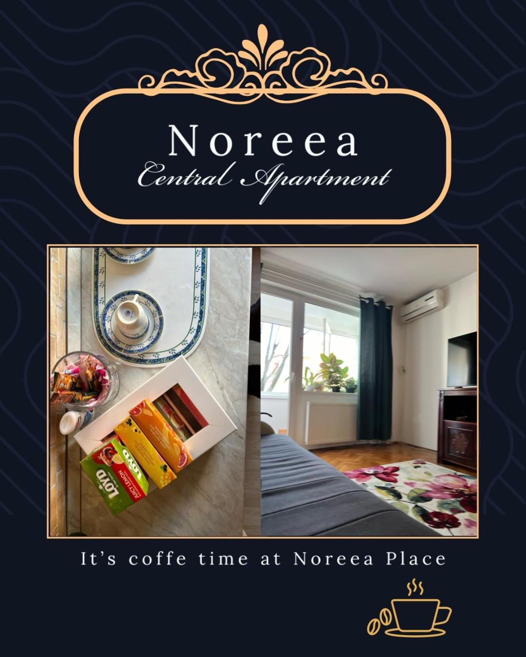 Noreea Central Apartment 蒂米什瓦拉 外观 照片
